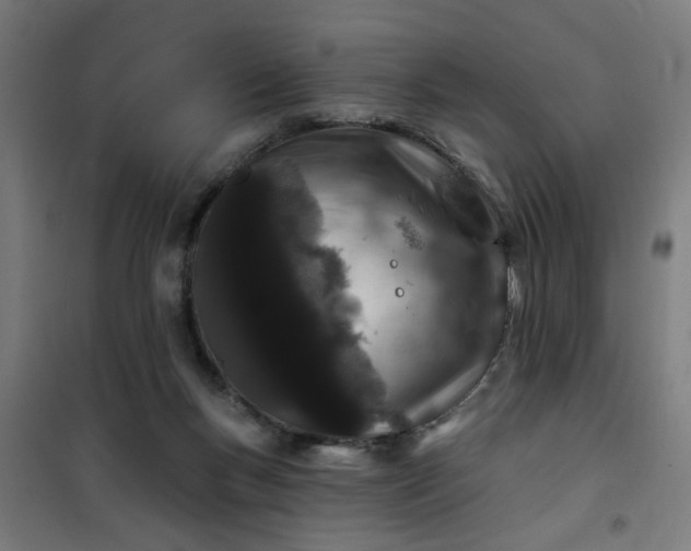 X0000100750167200807031344