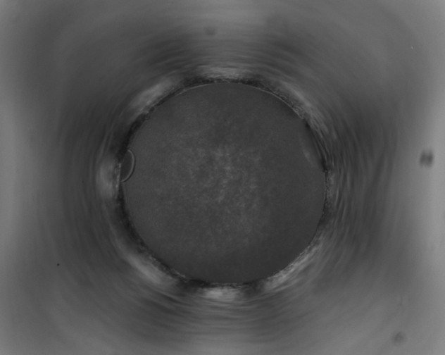 X0000100750168200807031344