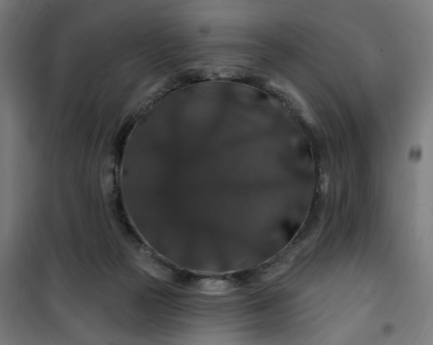 X0000100750169200807031344