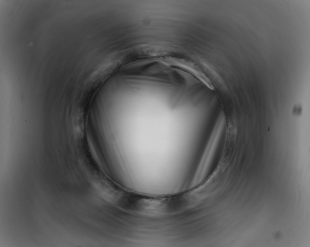 X0000100750170200807031344