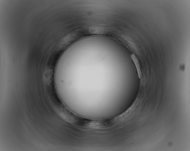 X0000100750171200807031344