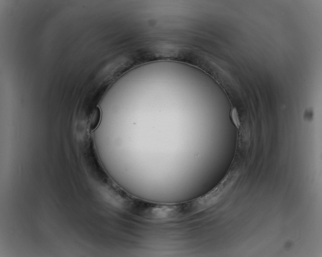 X0000100750172200807031344