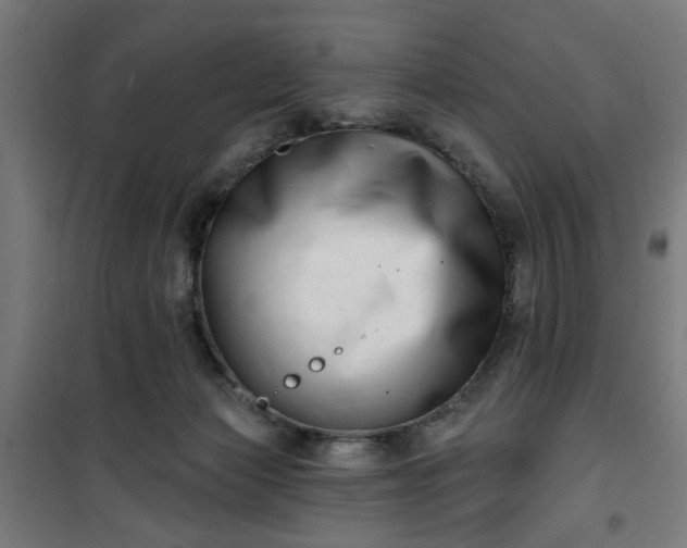 X0000100750173200807031344