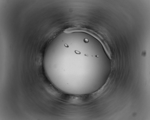 X0000100750174200807031344