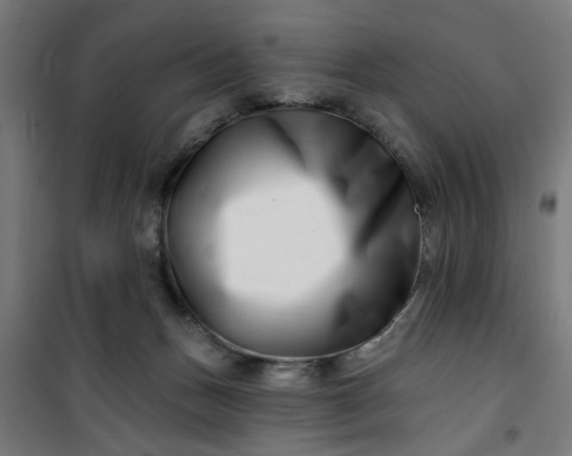 X0000100750175200807031344