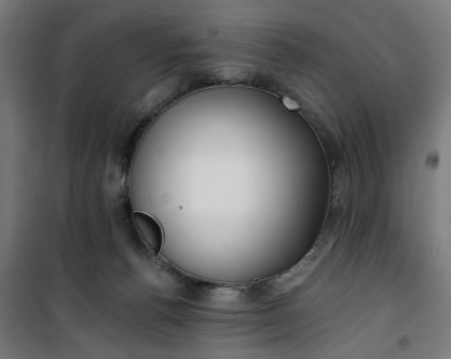 X0000100750176200807031344