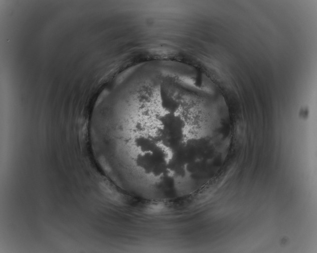 X0000100750177200807031344