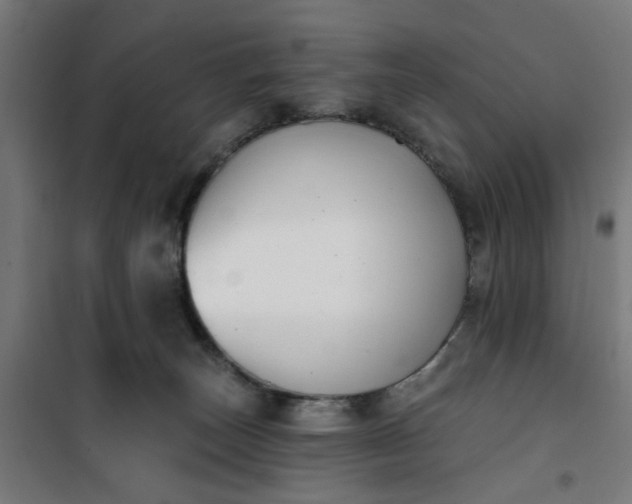 X0000100750179200807031344