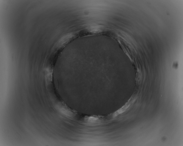 X0000100750180200807031345