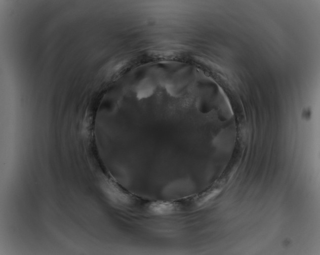 X0000100750181200807031345