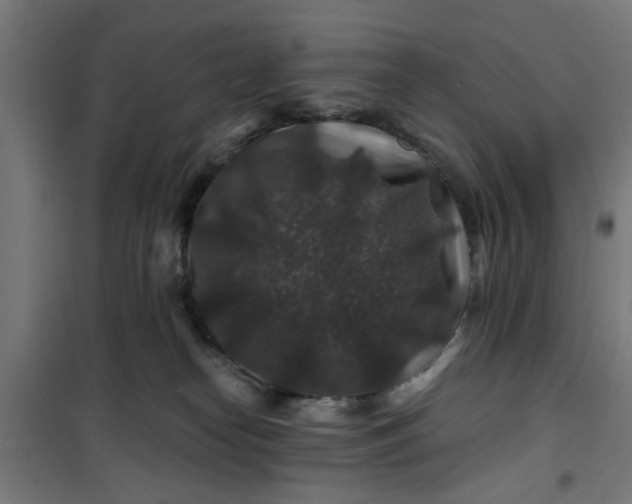 X0000100750182200807031345