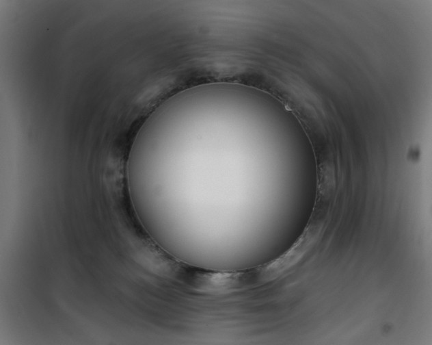 X0000100750184200807031345