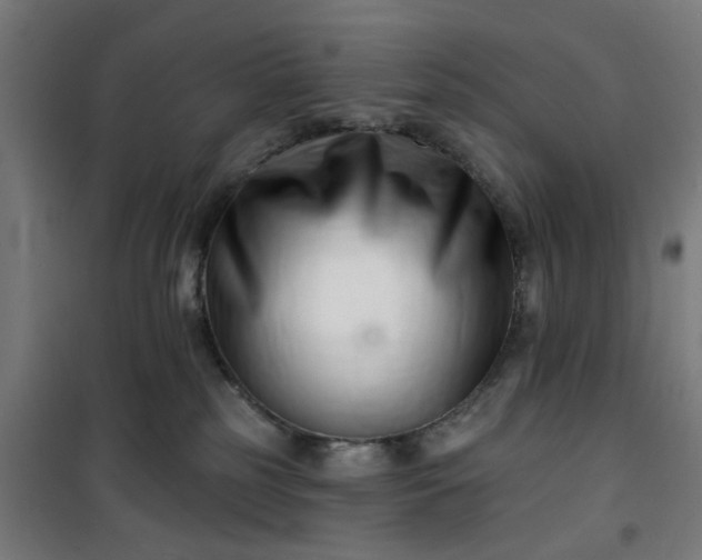 X0000100750185200807031345