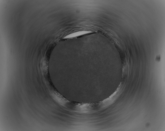 X0000100750186200807031345