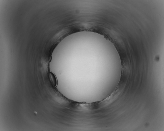 X0000100750188200807031345