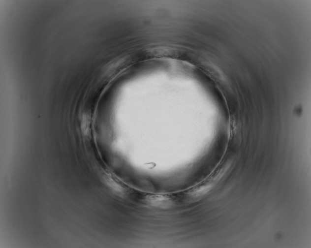 X0000100750189200807031345