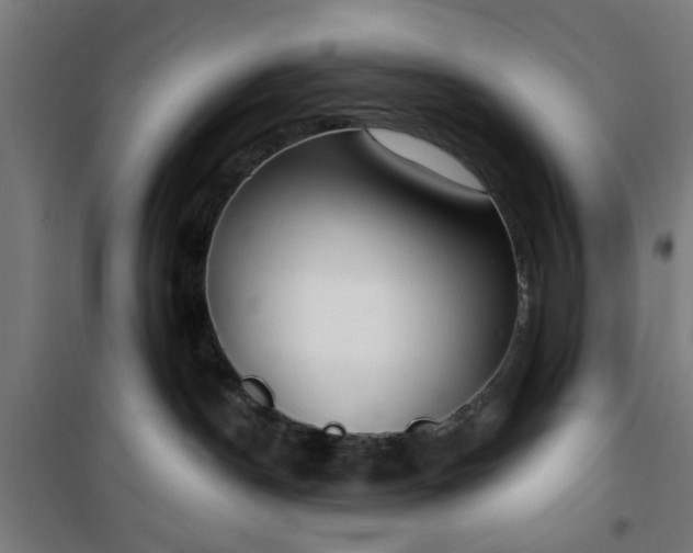 X0000100750190200807031345