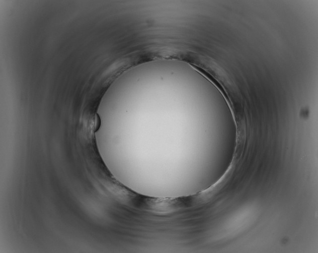 X0000100750191200807031345