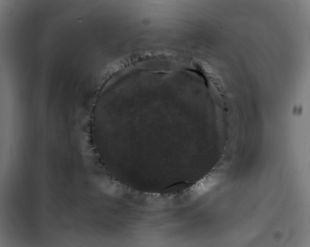 X0000100750192200807031345