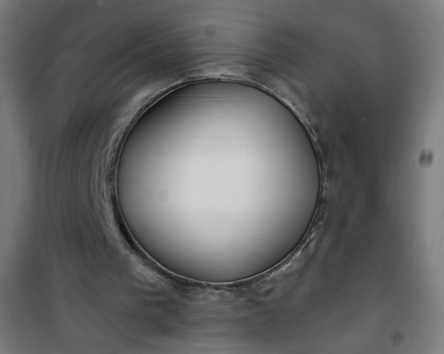 X0000100750193200807031344