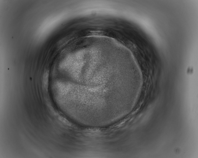 X0000100750194200807031344