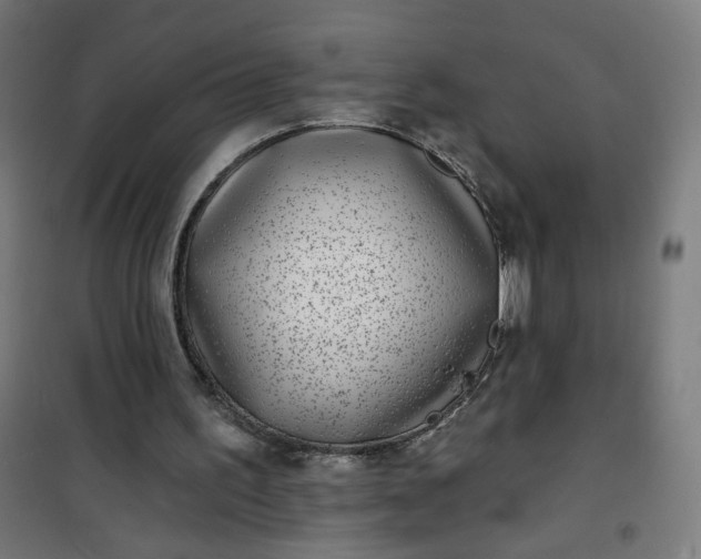 X0000100750195200807031344