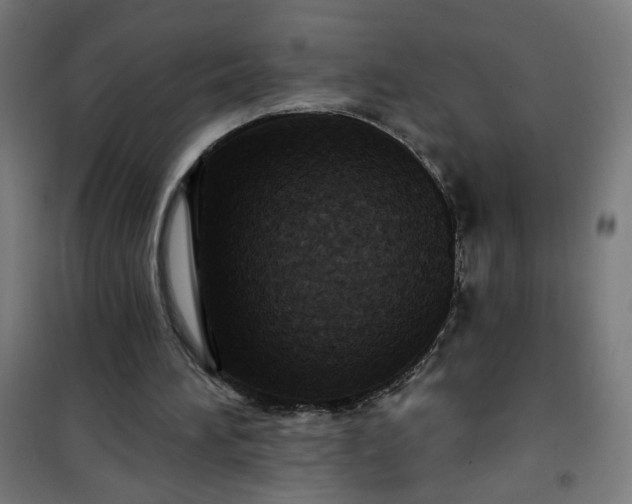 X0000100750196200807031344