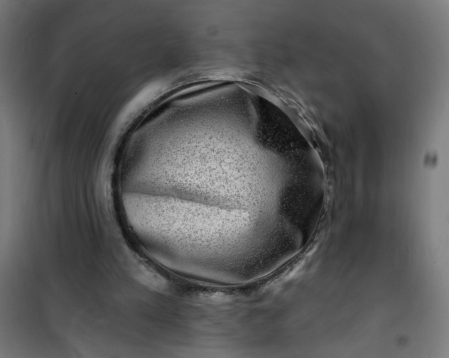 X0000100750197200807031344