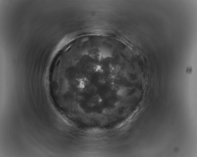 X0000100750198200807031344