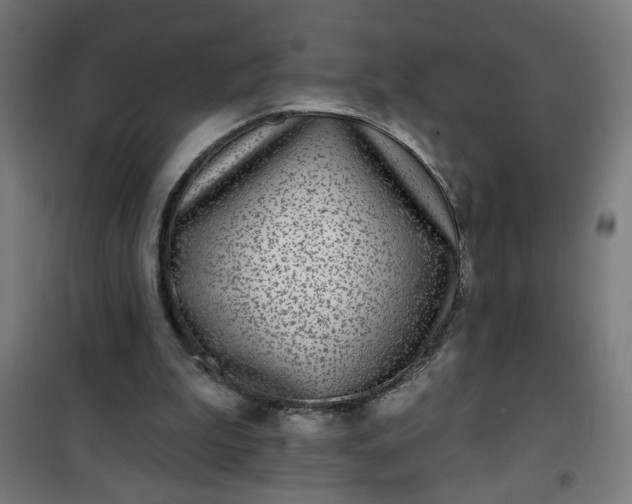 X0000100750199200807031344