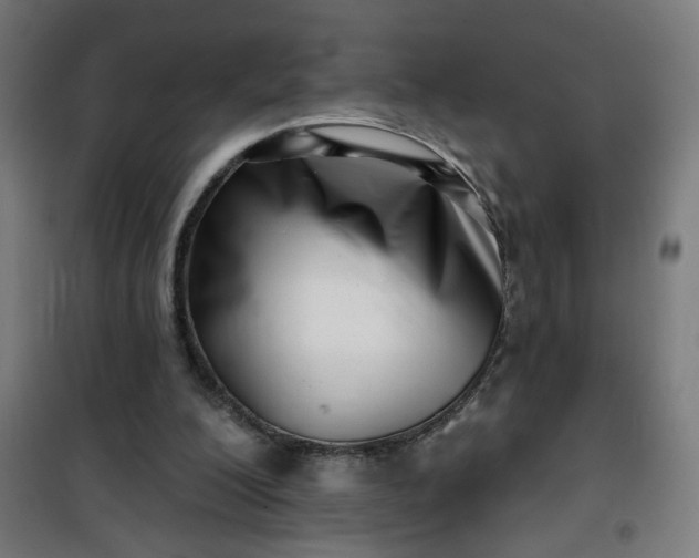 X0000100750200200807031344