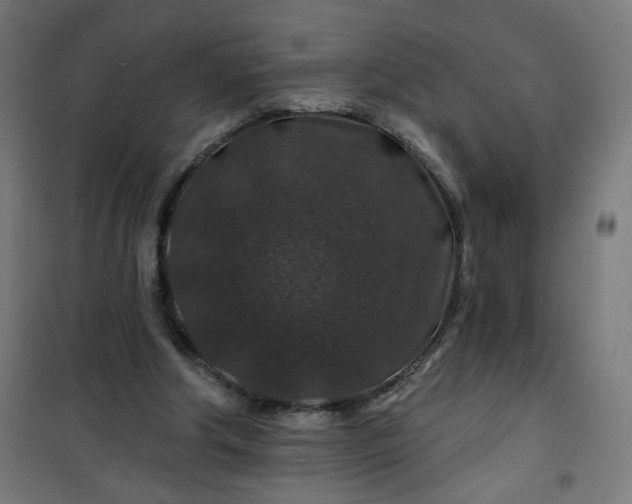 X0000100750202200807031344