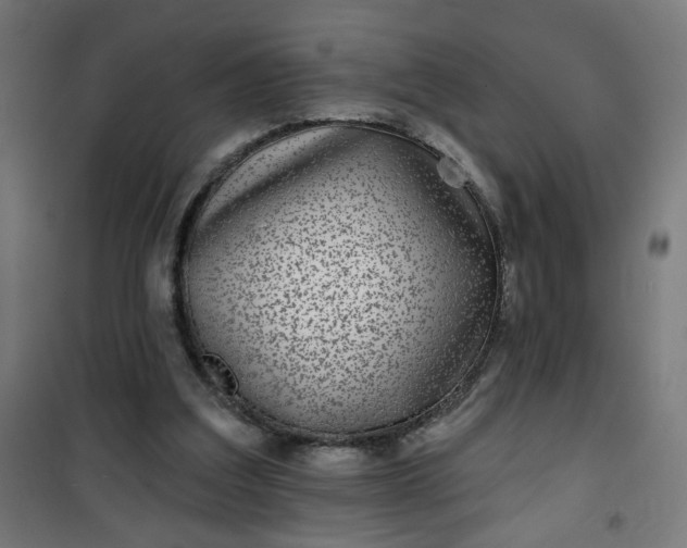 X0000100750203200807031344