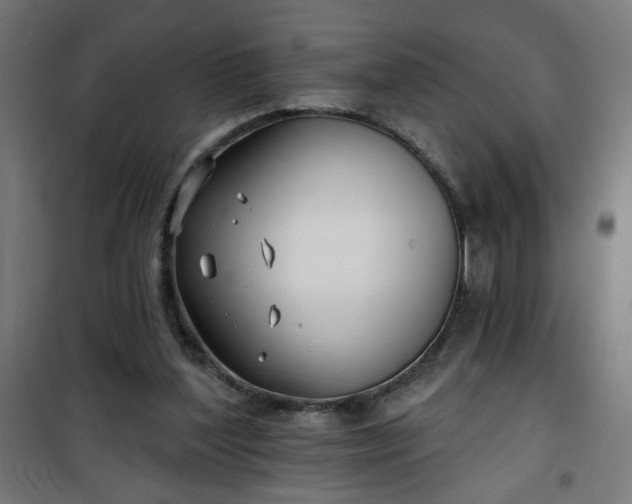 X0000100750204200807031344