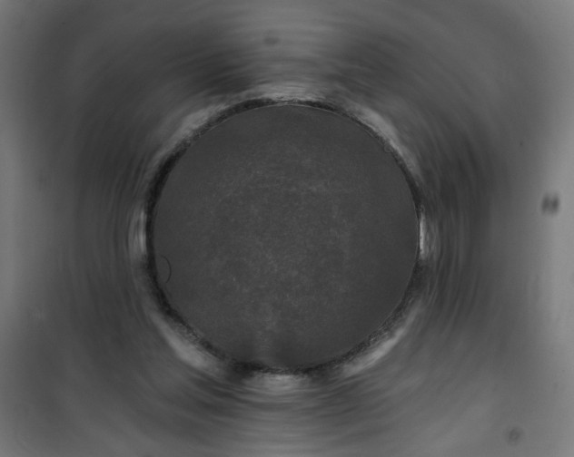 X0000100750205200807031344