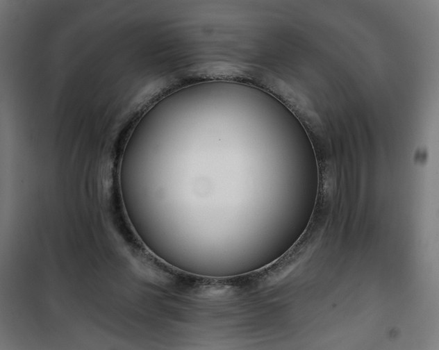 X0000100750206200807031344