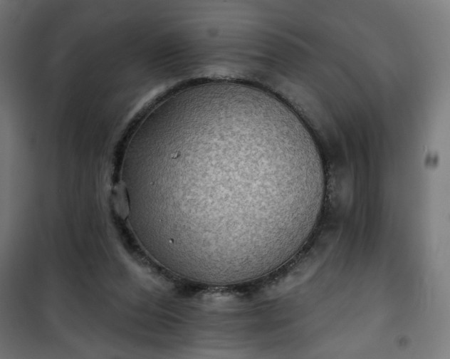 X0000100750208200807031344