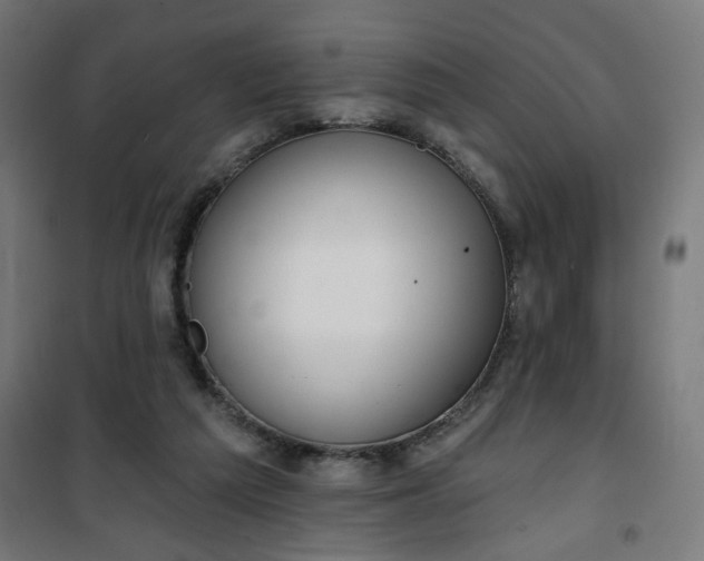 X0000100750209200807031344