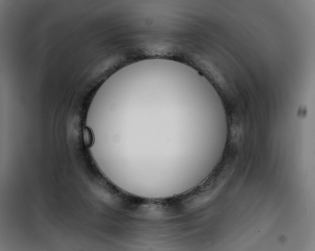 X0000100750211200807031344