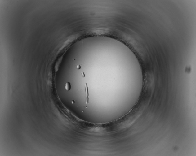 X0000100750212200807031344