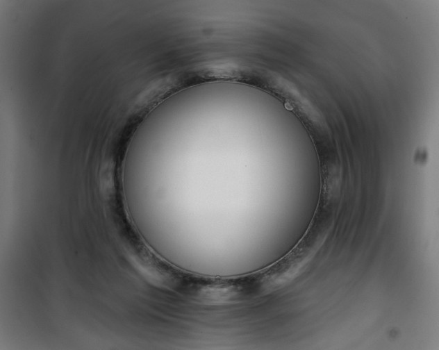 X0000100750213200807031344