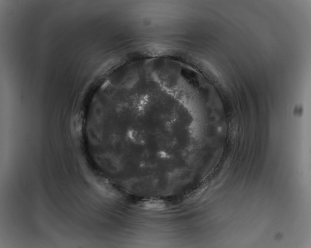 X0000100750214200807031344