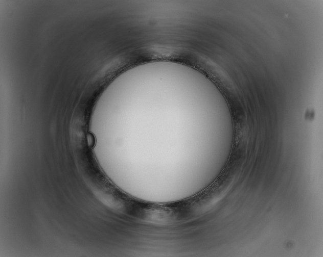 X0000100750215200807031344