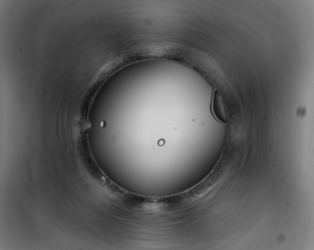 X0000100750216200807031344