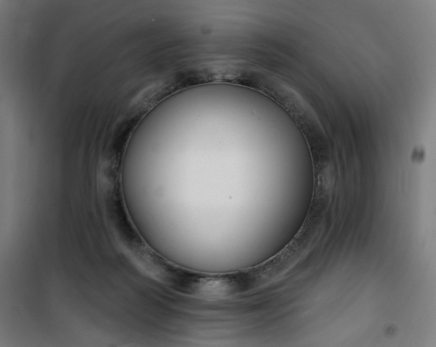 X0000100750218200807031344