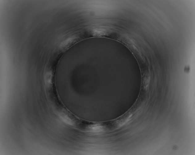 X0000100750219200807031343