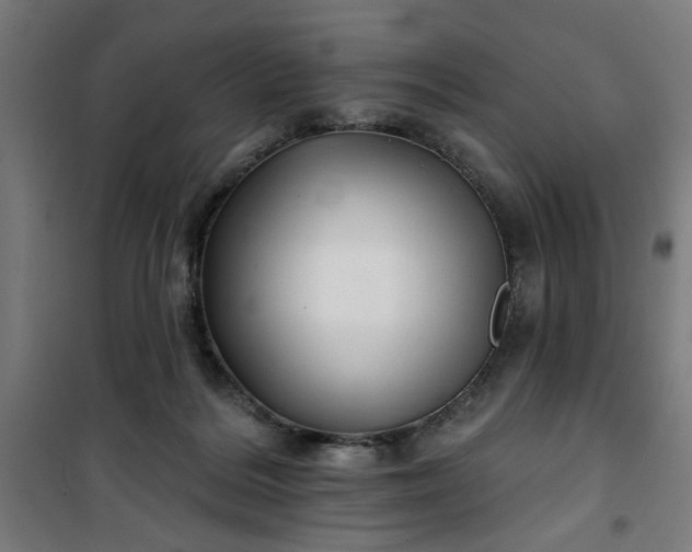 X0000100750220200807031343