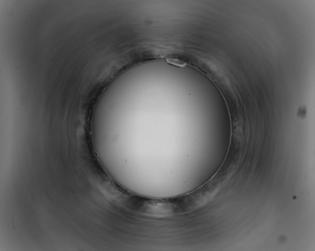 X0000100750221200807031343