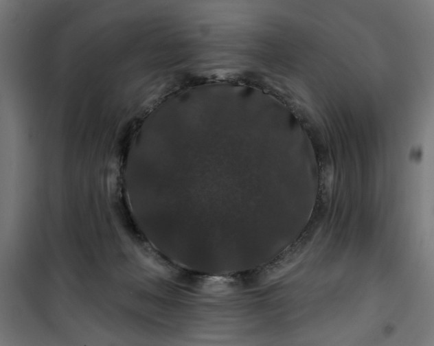 X0000100750222200807031343