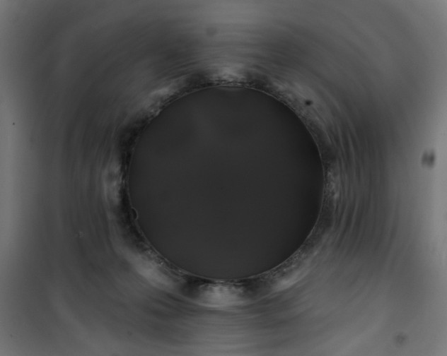 X0000100750223200807031343